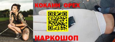 гашик Можга
