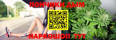 гашик Можга