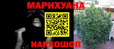 гашик Можга