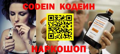 гашик Можга