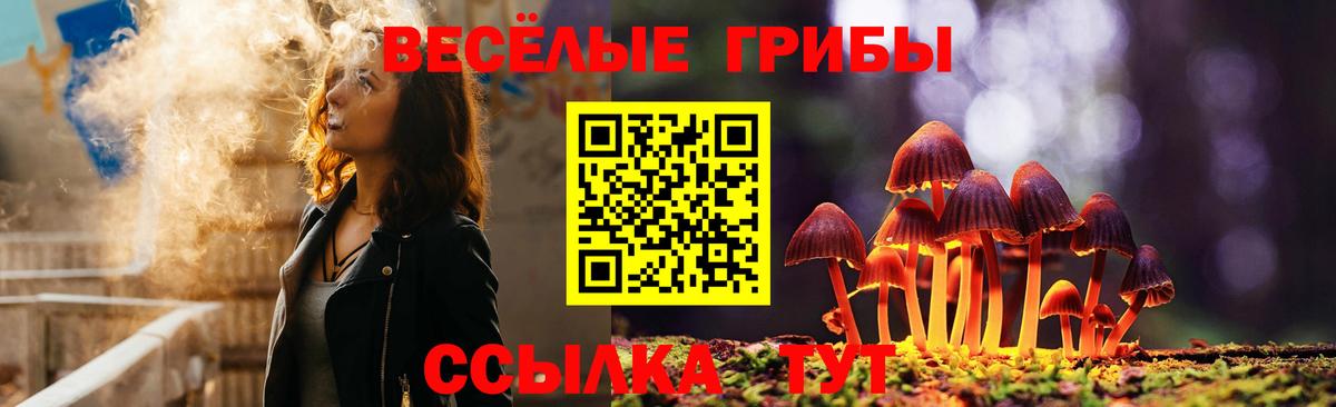 Фрязино  Псилоцибиновые грибы Cubensis  Псилоцибиновые грибы ЛСД  Вход с VPN 