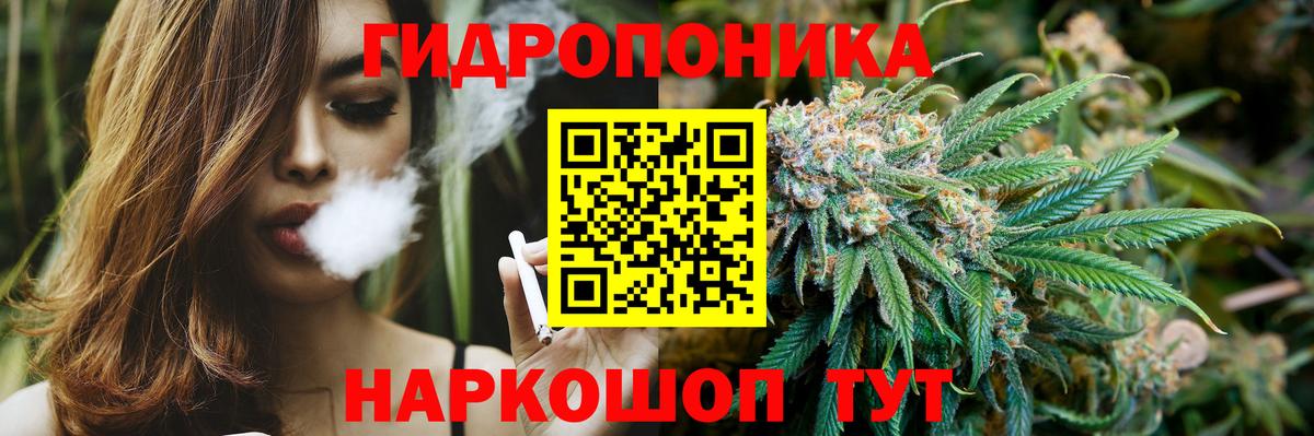 Бошки Шишки сатива Фрязино